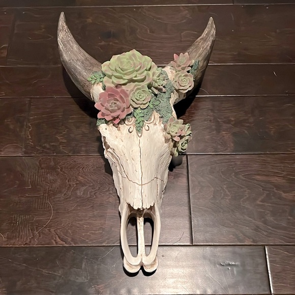 Resin skull and succulents 18” EUC - Picture 1 of 9